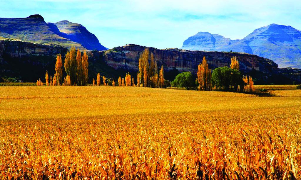 Lola'S Self Catering Accommodation Clarens Ngoại thất bức ảnh