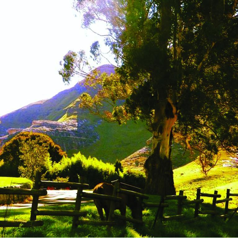 Lola'S Self Catering Accommodation Clarens Ngoại thất bức ảnh